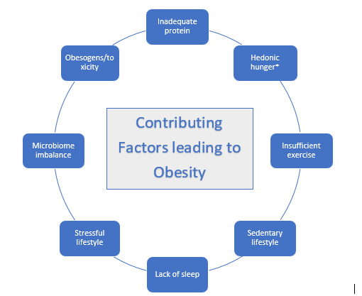 contributingFactorsObesity