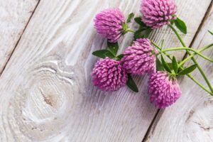 menopause-hot-flushes-symptoms-300x200