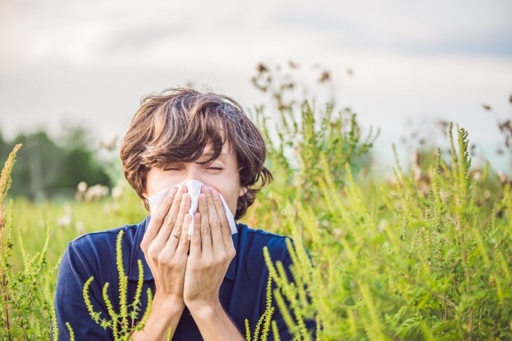 perimenopause-and-allergies